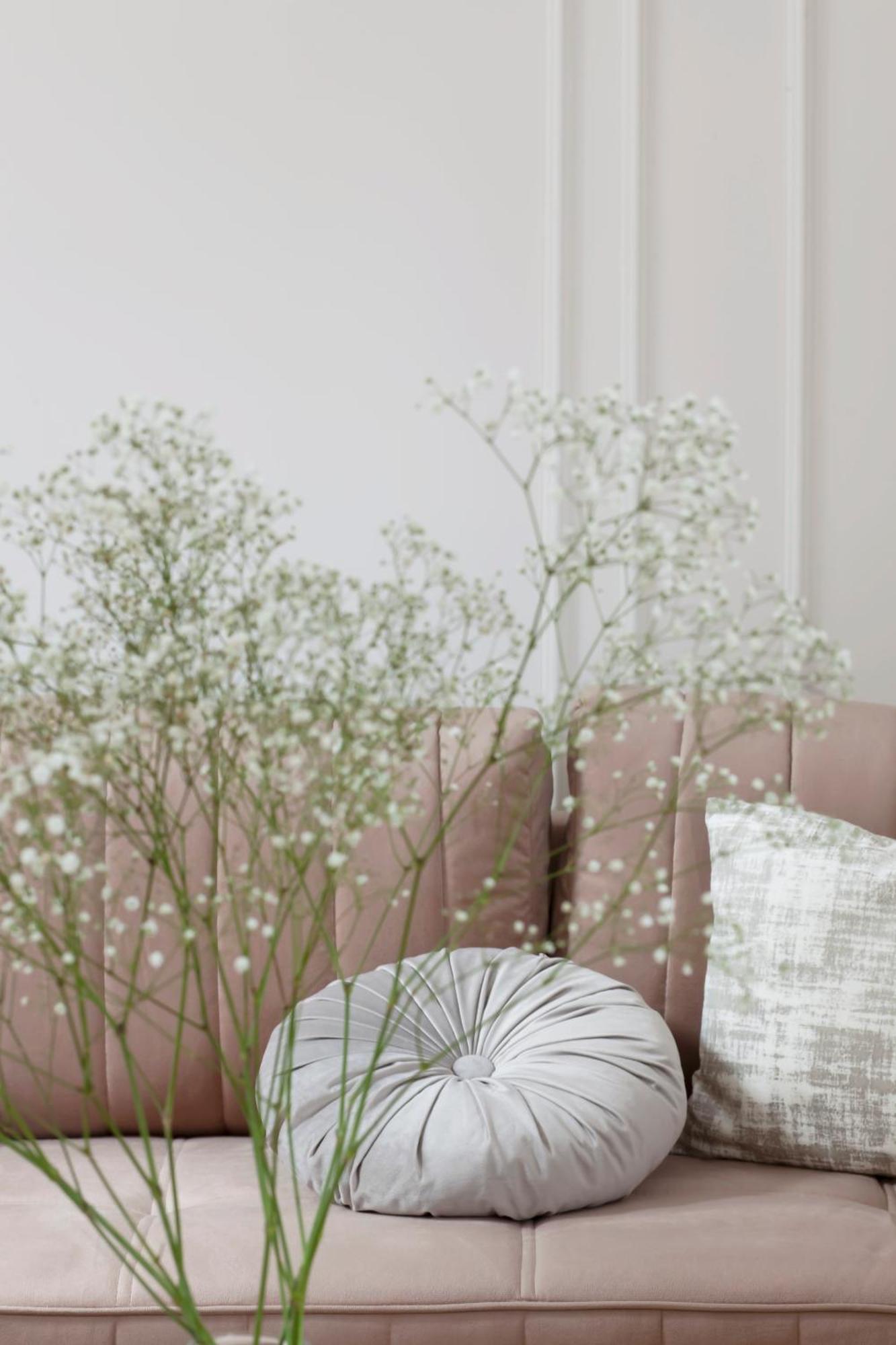 Elite Piwna Premium Appartamento *
